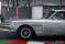 Copyright 2025 Rossa Corsa